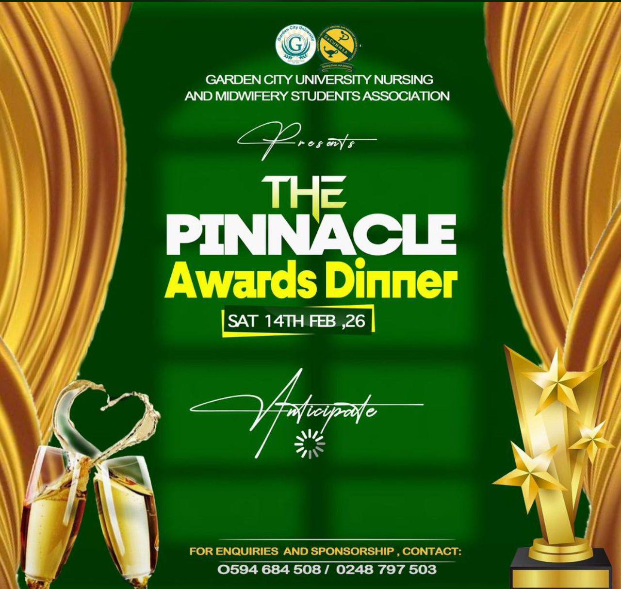THE Pinnacle Awards